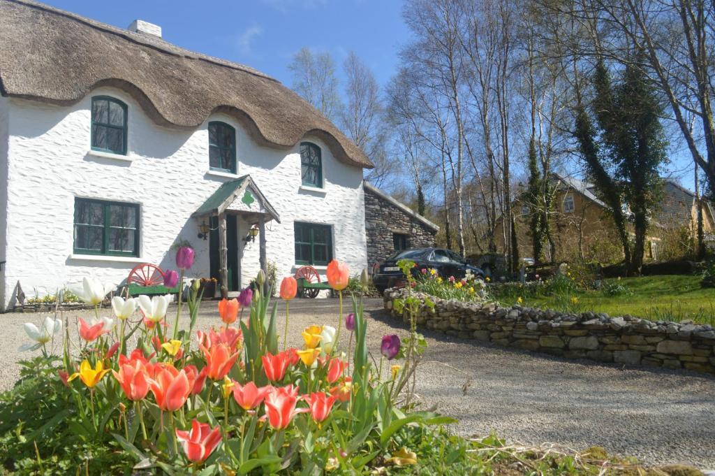 קנמארה Lissyclearig Thatched Cottage מראה חיצוני תמונה